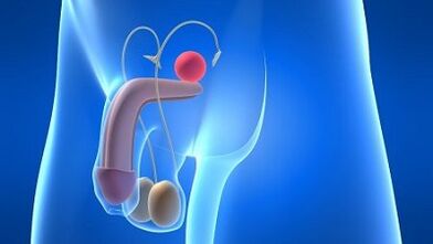 Lubrication in men during emotion what is