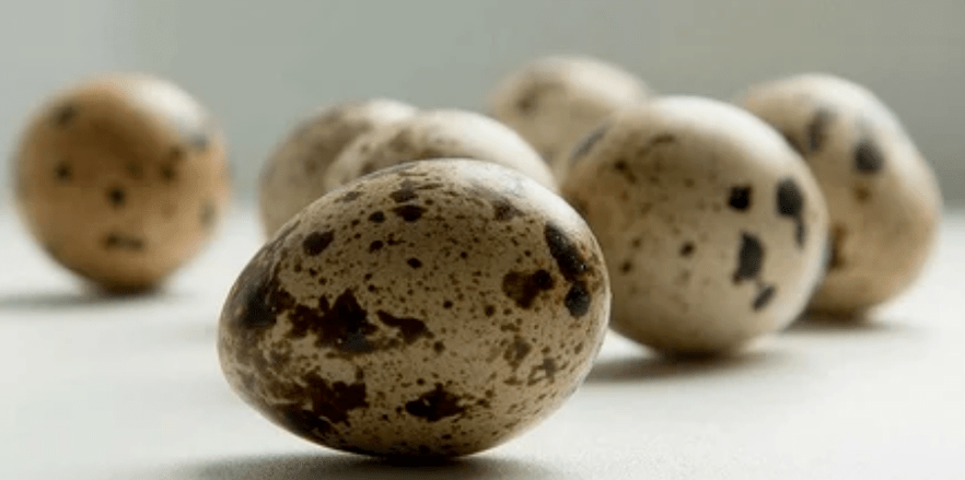 Quail eggs for power