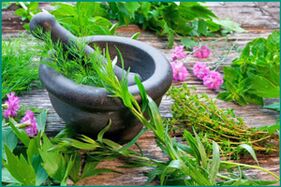 Medicinal herbs to restore male potency.